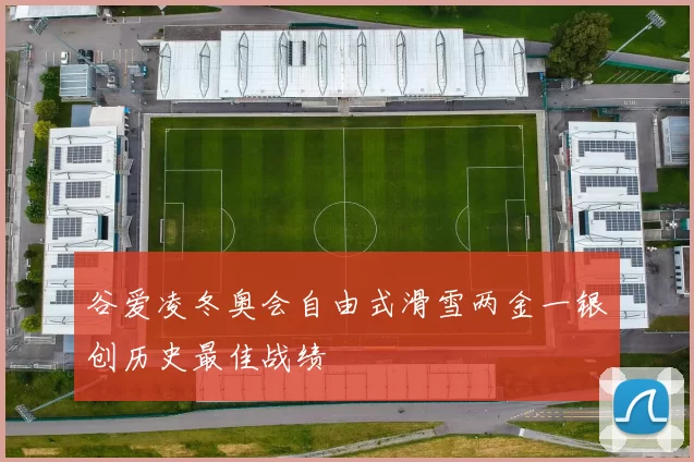 谷爱凌冬奥会自由式滑雪两金一银创历史最佳战绩